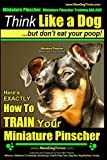 Miniature Pinscher, Miniature Pinscher Training AAA AKC | Think Like a Dog ~ But Don't Eat Your Poop! | Miniature Pinscher Breed Expert Training |: Here's EXACTLY How to TRAIN Your Miniature Pinscher