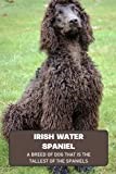 Irish Water Spaniel: A Breed of Dog That is The Tallest of The Spaniels: Interesting Facts About Irish Water Spaniel