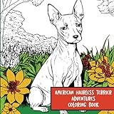 American Hairless Terrier Adventures: Coloring Book