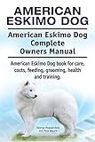 American Eskimo Dog thumbnail