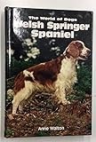 The Welsh Springer Spaniel