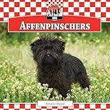 Affenpinschers (Dogs Set 11)