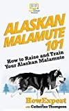 Alaskan Malamute 101: How to Raise and Train Your Alaskan Malamute