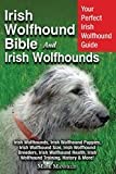 Irish Wolfhound thumbnail