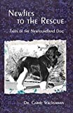 Newfoundland Dog thumbnail