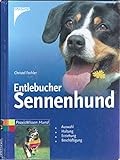Entlebucher Sennenhund thumbnail