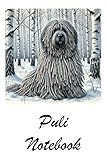 Puli Notebook