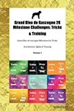 Grand Bleu de Gascogne 20 Milestone Challenges: Tricks & Training Grand Bleu de Gascogne Milestones for Tricks, Socialization, Agility & Training Volume 1
