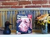 Chesapeake Bay Retrievers: Everything About Purchase, Care, Nutrition, Behavior, and Training (Complete Pet Owner's Manual)