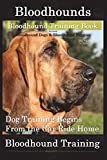 Bloodhounds, Bloodhound Training Book For both Bloodhound Dogs & Bloodhound Puppies By D!G THIS DOG Training: Dog Training Begins From the Car Ride Home Bloodhound Training