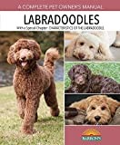 Labradoodle thumbnail