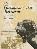 The Chesapeake Bay Retriever