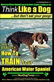 American Water Spaniel, American Water Spaniel Training AAA AKC: Think Like a Dog, but Don?t Eat Your Poop! | American Water Spaniel Breed Expert ... How To TRAIN Your American Water Spaniel