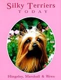 Silky Terriers Today