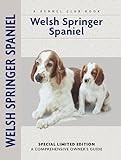 Welsh Springer Spaniel thumbnail