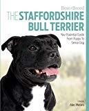 Staffordshire Bull Terrier thumbnail