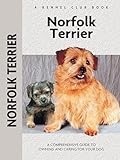 Norfolk Terrier thumbnail