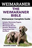 Weimaraner: The Weimaranar Bible: Weimaraner Complete Guide.: Includes: Weimaraner Puppies, Weimaraner Dogs, Weimaraner Rescue, Breeders, Weimaraner Temperament, Care, And More!