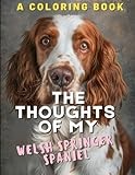 The Reflections of My Welsh Springer Spaniel: A Coloring Book