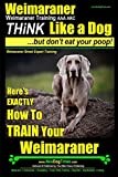 Weimaraner, Weimaraner Training AAA AKC: Think Like a Dog, But Don't Eat Your Poop! | Weimaraner Breed Expert Training: Here's EXACTLY How To TRAIN Your Weimaraner