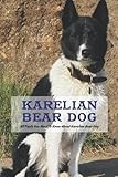 Karelian Bear Dog: All Facts You Need To Know About Karelian Bear Dog