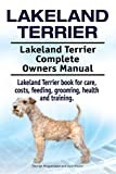Lakeland Terrier thumbnail