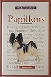 A New Owner's Guide to Papillons