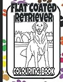 Flat Coated Retriever Colouring Book: a retriever colouring book featuring the Flat Coated Retriever (Retrievers Colouring Books by Trevlora)