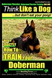 Doberman Pinscher thumbnail