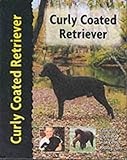Curly Coated Retriever