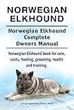 Norwegian Elkhound thumbnail