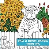 Dogue de Bordeaux Adventures: Coloring Book