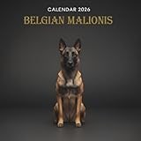 Belgian Malinois Calendar 2026: A Year of Powerful and Focused Belgian Malinois Dogs in Stunning Real-Life Moments