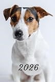 2026: Small Monthly Calendar Planner - Jack Russell Terrier Dog