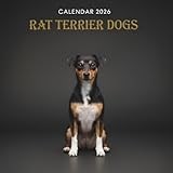 Rat Terrier Dogs Calendar 2026: Featuring Playful and Expressive Rat Terriers in Stunning Natural Scenes