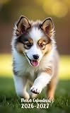 Pocket Calendar 2026-2027: Small 2-Year Monthly agenda from January 2026 to December 2027 purse size | Shetland Sheepdog Dog Design