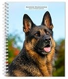 German Shepherds | 2026 6 x 7.75 Inch Spiral-Bound Wire-O Weekly Engagement Planner Calendar | New Full-Color Image Every Week | BrownTrout | Animals Dog Breeds Pets