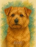 2026: Large Monthly Calendar Planner – Watercolor Norfolk Terrier Dog