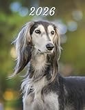2026: Large Monthly Calendar Planner – Saluki Dog