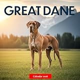 Great Dane 2026 Calendar: Majestic Great Danes in Stunning Photography – A Year of Strength, Elegance, and Gentle Giants