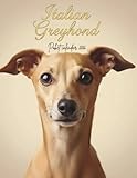 Italian Greyhound Pocket Calendar 2026: Monthly Planner | 8.5 x 11 in | 73 Pages