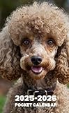 Pocket Calendar 2025-2026: 2 Year Monthly Planner January 2025 To December 2026 For Purse | Beautiful Dog cover ( Miniature Poodle design )