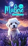 2025-2026 Maltese Puppies Pocket Calendar: 2 Years Small Monthly Planner For Purse