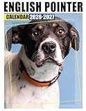 English Pointer Calendar 2026 - 2027: Two-Year Appointment Planner for 2026–2027, Simple Layout for Home, School, and Work Scheduling