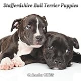 Staffordshire Bull Terrier Puppies Calendar 2026: 12 month Organizer Jan 2026 to Dec 2026