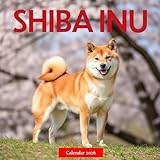 Shiba Inu 2026 Calendar: Beautiful Shiba Inus in Stunning Photography – A Year of Loyalty, Spirit, and Japanese Elegance