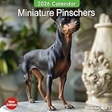 Miniature Pinscher calendar thumbnail