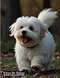 2025-2026 Coton De Tulear Monthly Planner: Two Years Calendar Organizer From January to December ,Size 8.5 X 11" For Office & Home And Holidays