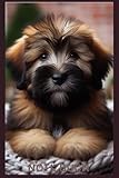 Briard Notizbuch, Buch: Das perfekte Geschenk für Hunde Liebhaber & Fans, Heft m. süßem Briardwelpe, Motiv Liniert,DIN A5: Tagebuch, Journal, ... Calendar, Bild,Deko,Schild (German Edition)