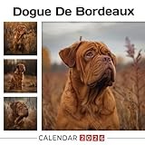 Dogue De Bordeaux Calendar 2026: Powerful and Gentle Giants with Wrinkled Charm